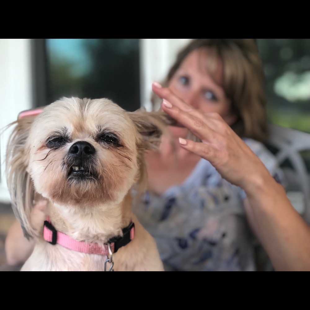 Meet your Posher, Melissa